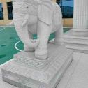 海东 白麻花岗岩动物异形石雕-大象