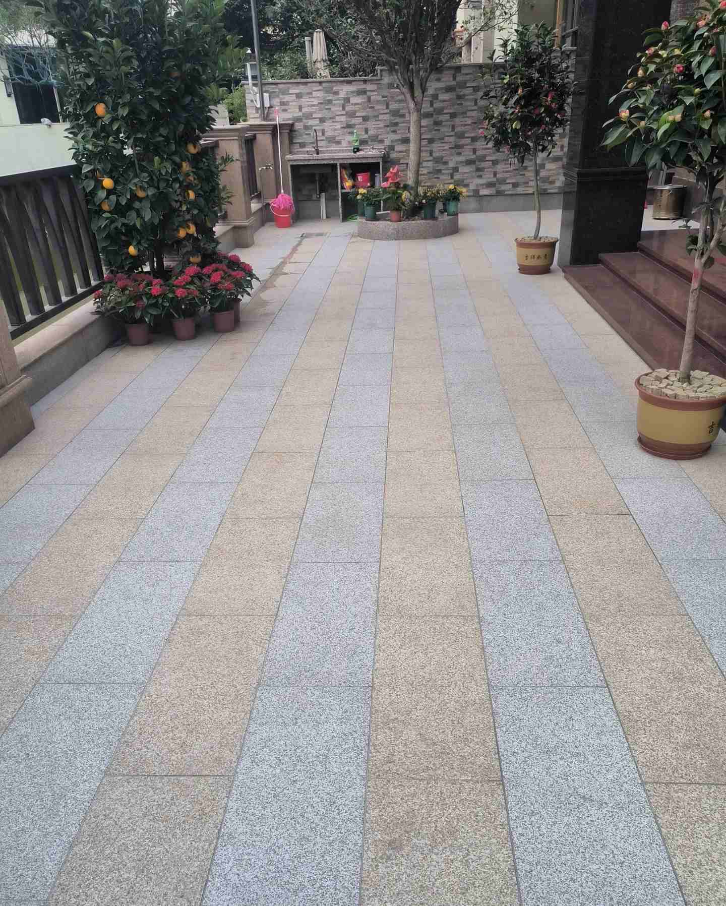 海东 黄金麻白麻荔枝面庭院铺装展示