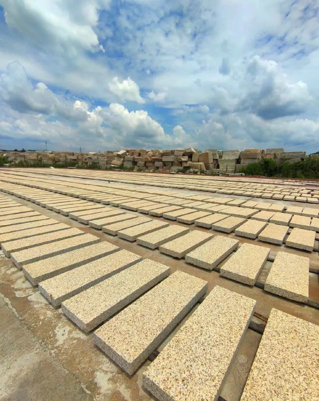 海东 黄金麻花岗岩荔枝面地铺石防护中